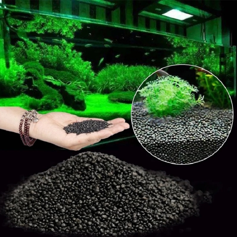 Aquarium Planted Seeds - Réservoir de poissons eau herbe boue
