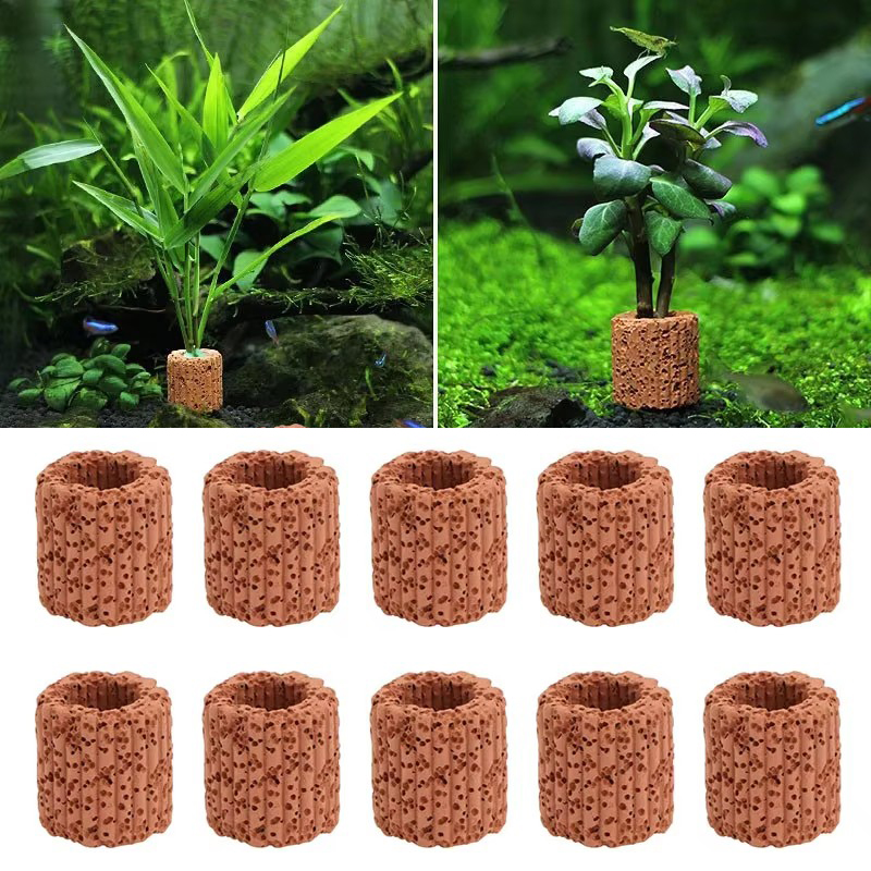 Aquarium Planted Seeds - Anneau fixe pour plantes aquatiques, pour