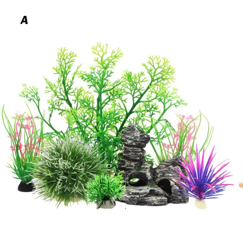 Aquarium Plants For Sale - 10 pièces - Nouveauté très demandée