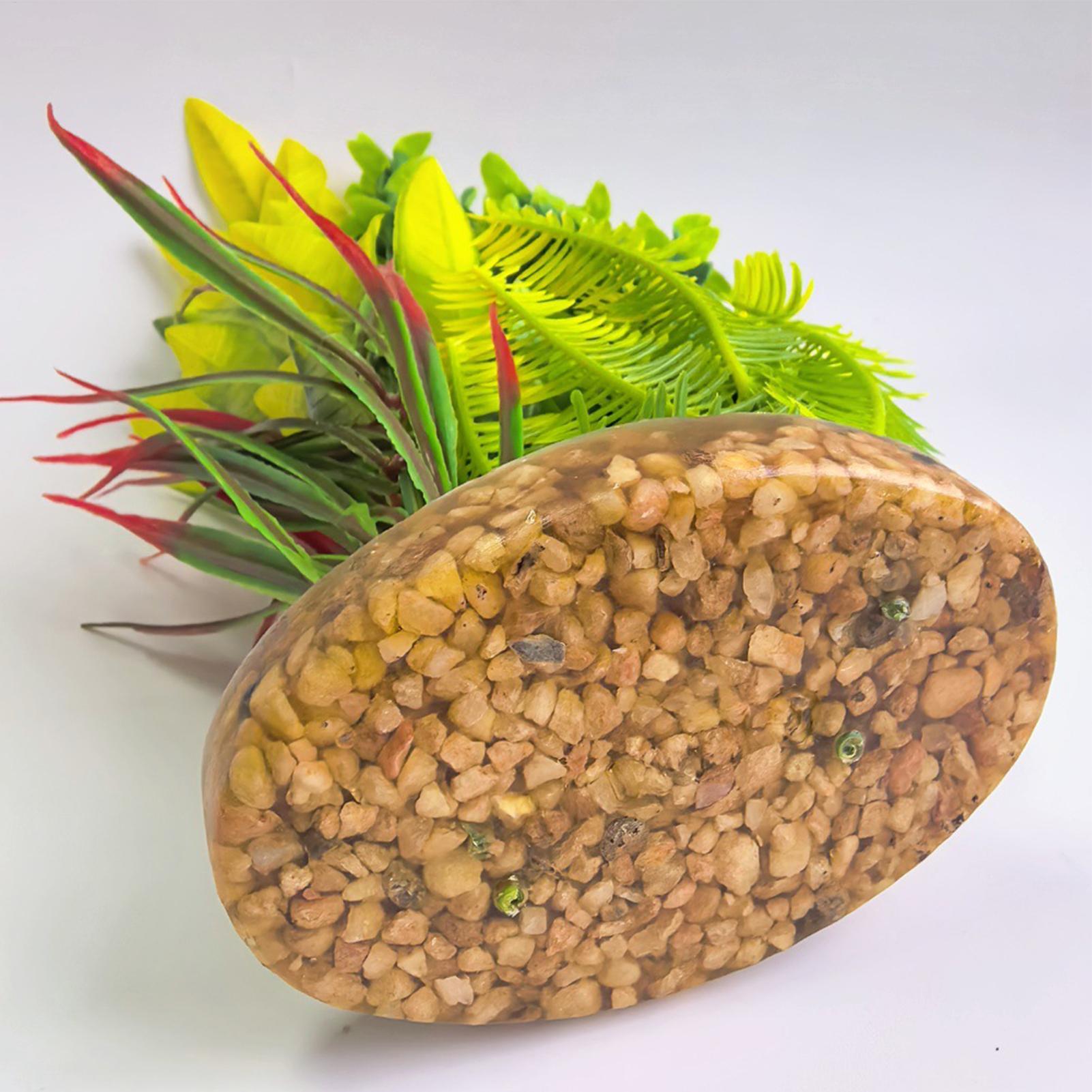 Planted Aquarium For Beginners - Plantes artificielles pour aquarium, décorations pour
