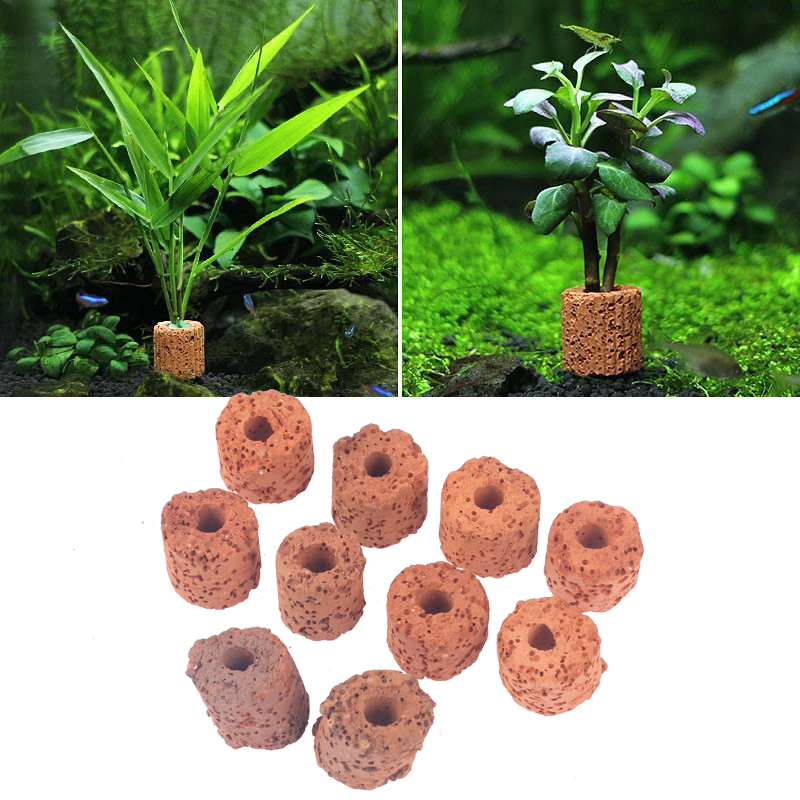 Aquarium Planted Seeds - Anneaux de plantes pour aquarium, 10