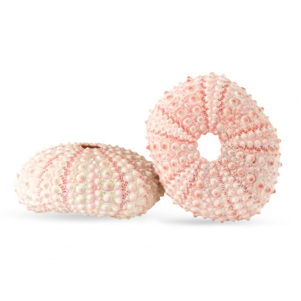 Planted Aquarium Air Stone - Coquille de mer 5cm-6cm, ornement de