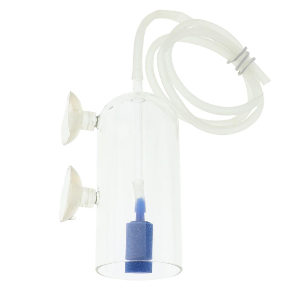 Planted Aquarium Air Stone - Diffuseur d'air en verre pour aquarium,