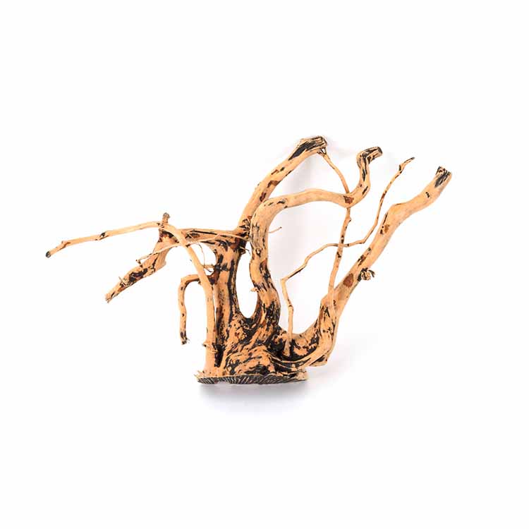 Aquarium Plants For Sale - Décorations Naturelles en Gros pour Aquarium