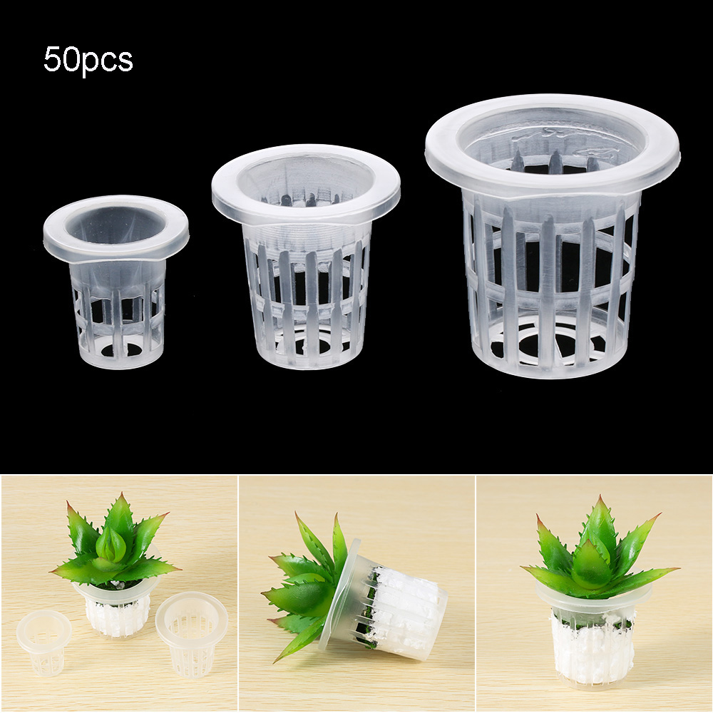 Aquarium Planted Seeds - 10/50pcs fournitures de jardin Aquarium plantation