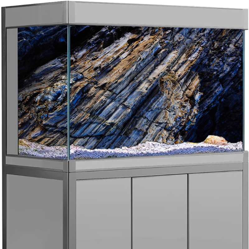 Affiche de fond d'aquarium en  - Aquarium Planted Seeds avis et prix