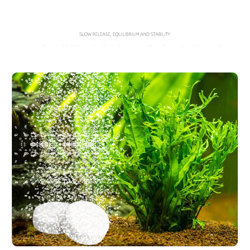 ISTA – tablette CO2 à libérati - Planted Aquarium Without Fish avis et prix