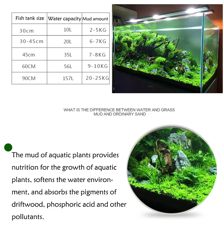 Réservoir de poissons eau herb - Aquarium Planted Seeds avis et prix