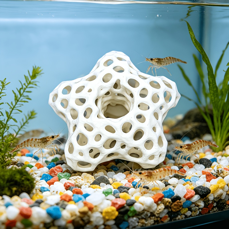 Décoration d'aquarium étoile à - Planted Aquarium Without Fish avis et prix
