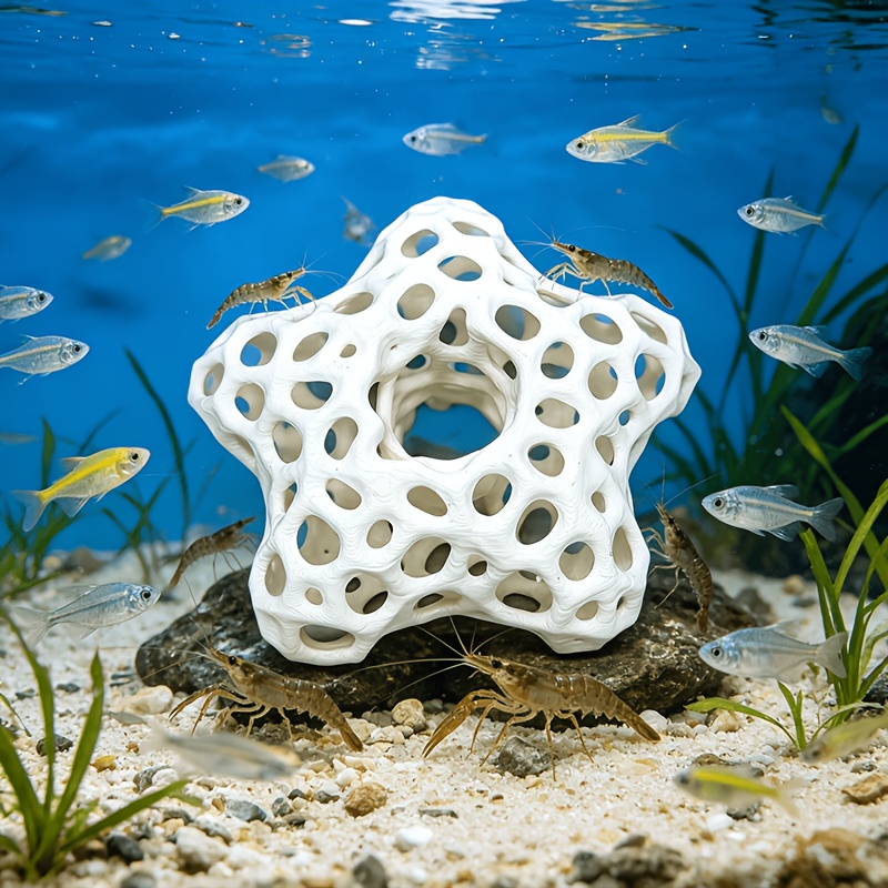 Décoration d'aquarium étoile à - Planted Aquarium Without Fish avis et prix