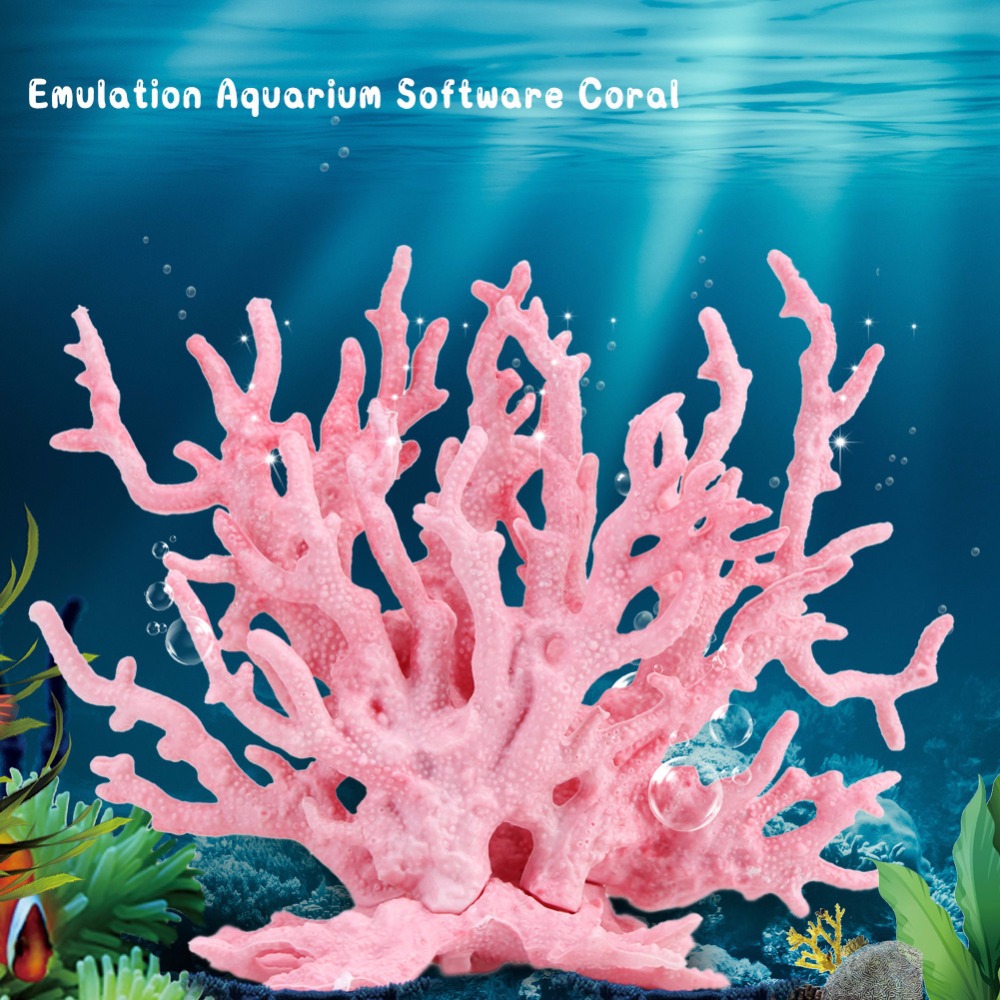 Simulation de paysage aquatiqu - Planted Aquarium Hard Water avis et prix