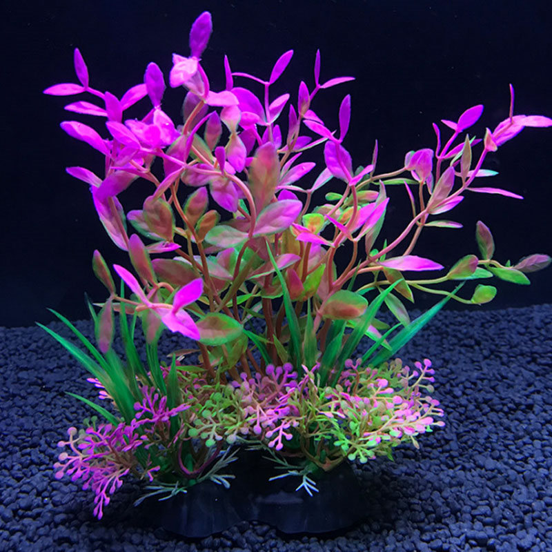 Décoration d'aquarium de plant - Aquarium Plant Varieties avis et prix