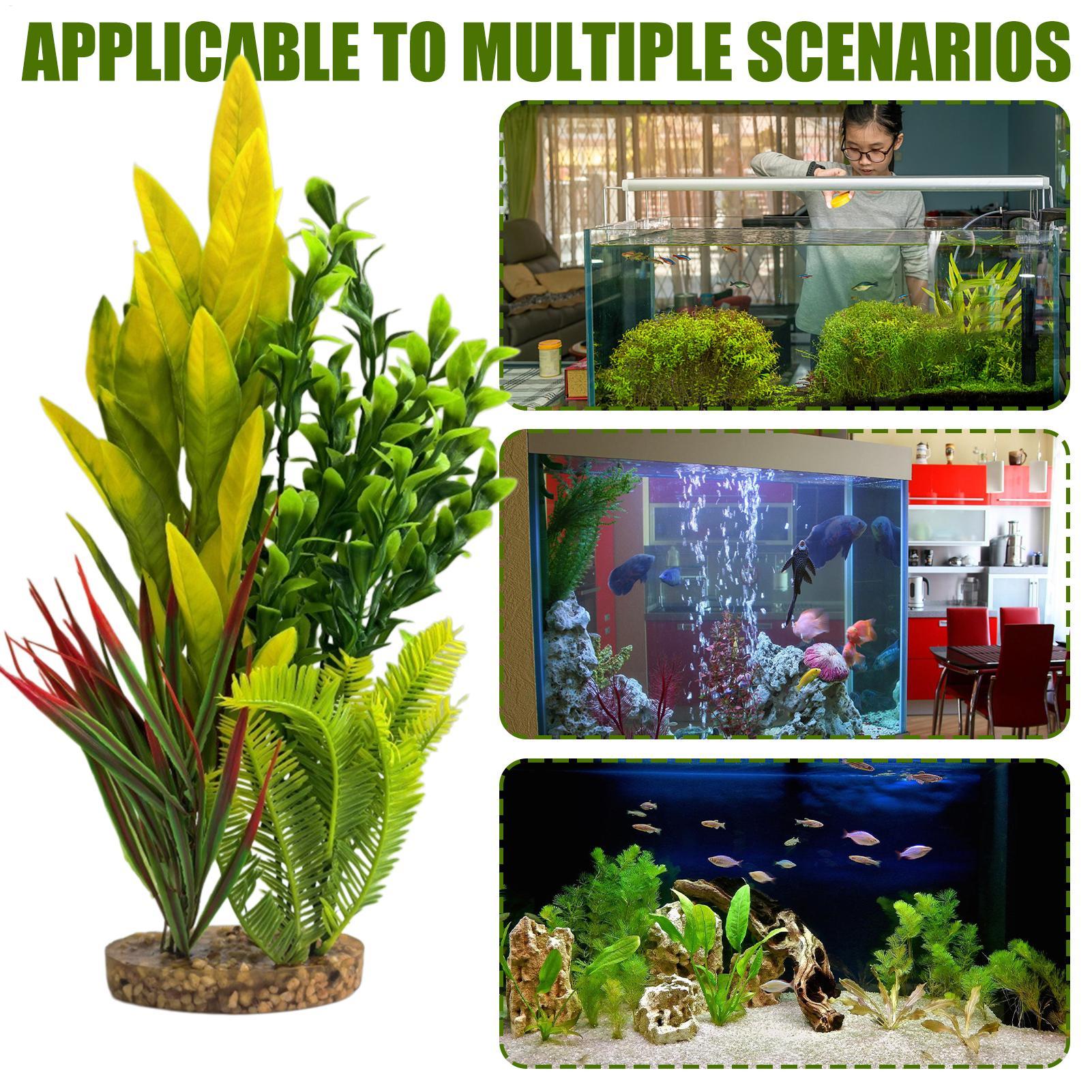 Plantes artificielles pour aqu - Planted Aquarium For Beginners avis et prix