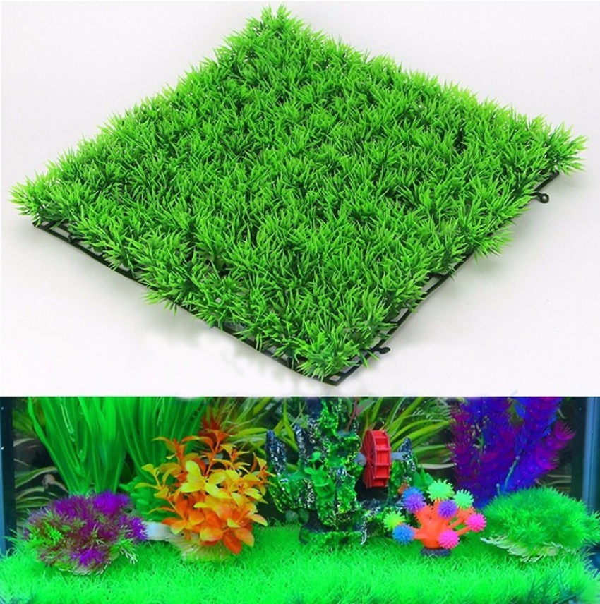 Plante d'herbe verte artificie - Aquarium Planted Seeds avis et prix