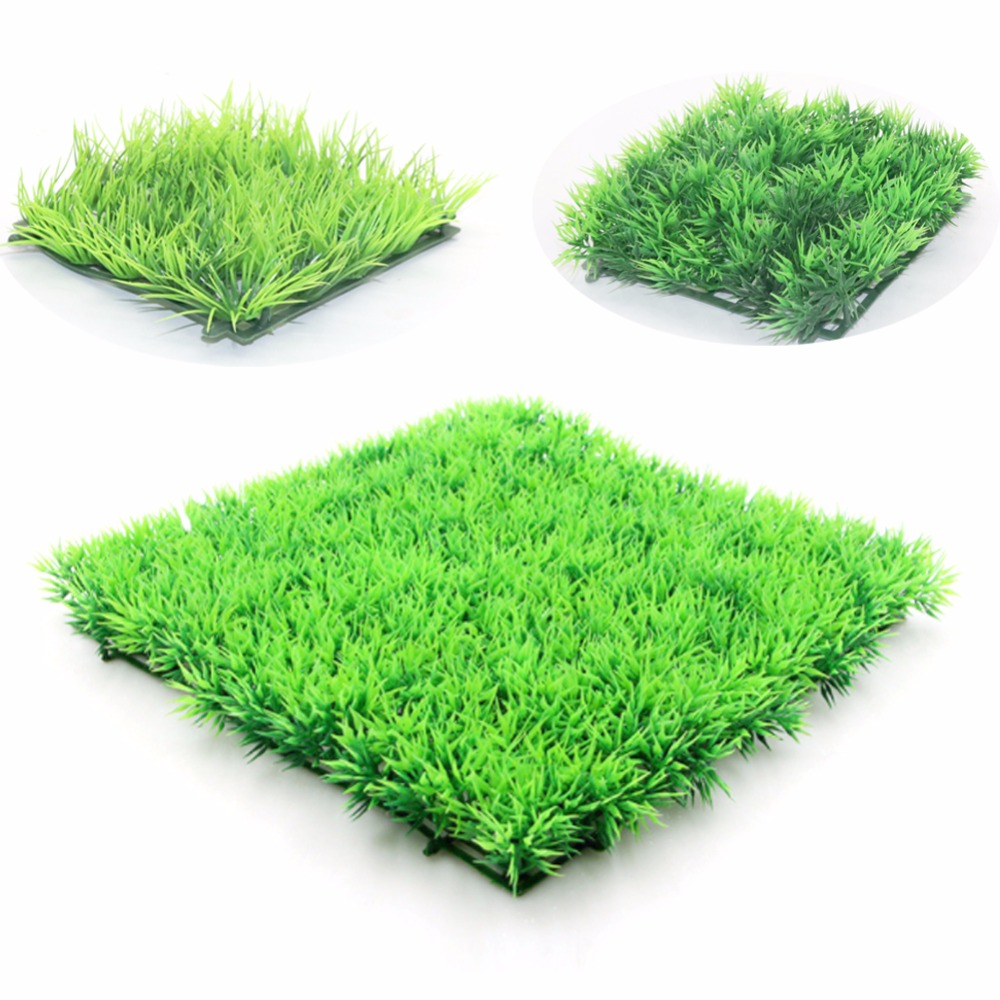Plante d'herbe verte artificie - Aquarium Planted Seeds avis et prix