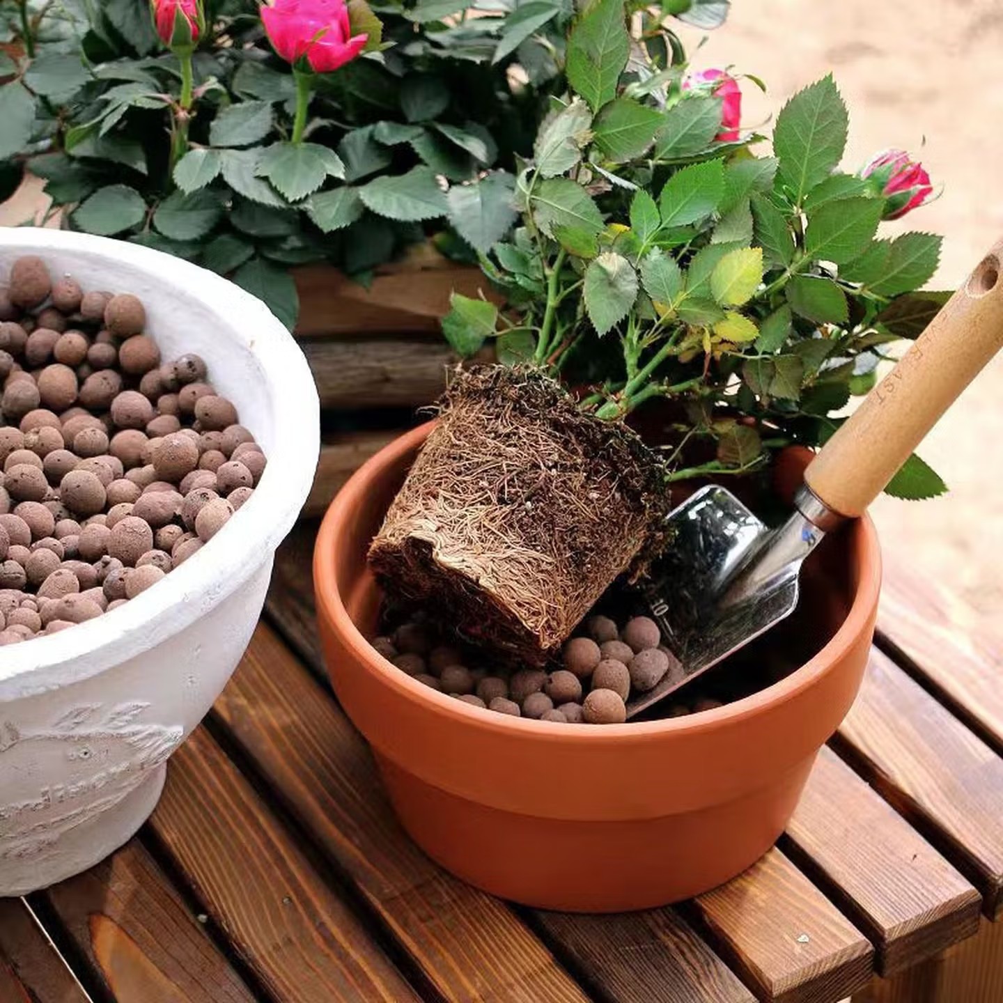 100-500g de billes d'argile hy - Aquasoil Substrate avis et prix