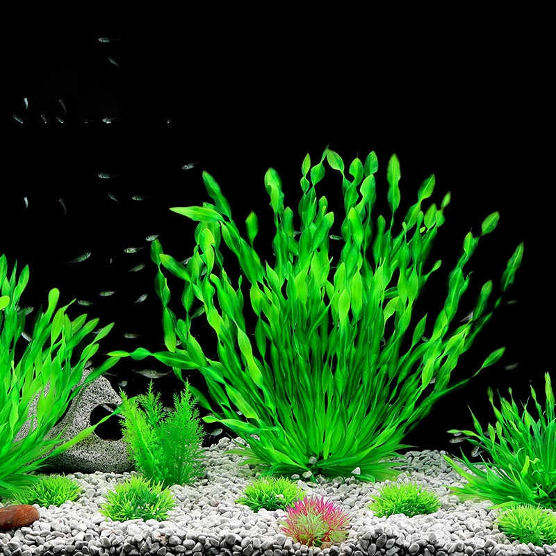 Plantes artificielles d'aquari - Aquarium Planted Seeds avis et prix