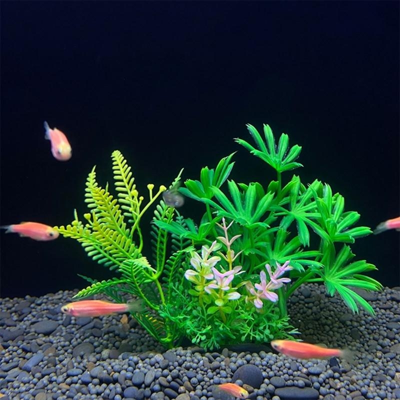 Décoration d'aquarium artifici - Aquarium Plants For Sale avis et prix