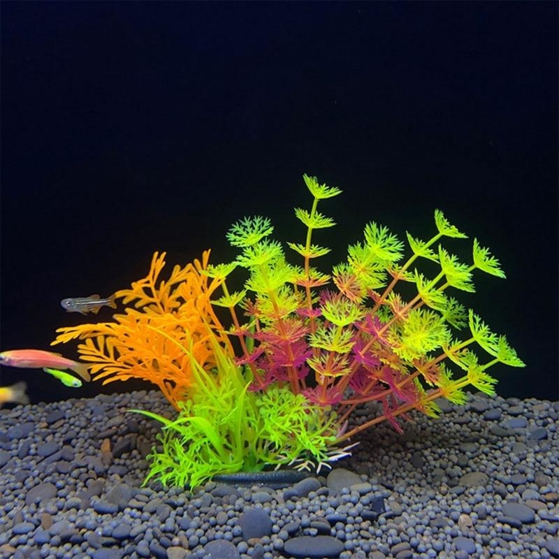 Décoration d'aquarium artifici - Aquarium Plants For Sale avis et prix