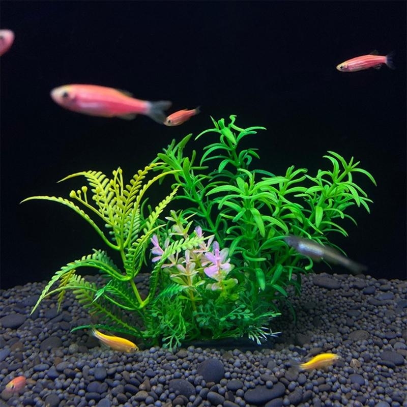 Décoration d'aquarium artifici - Aquarium Plants For Sale avis et prix