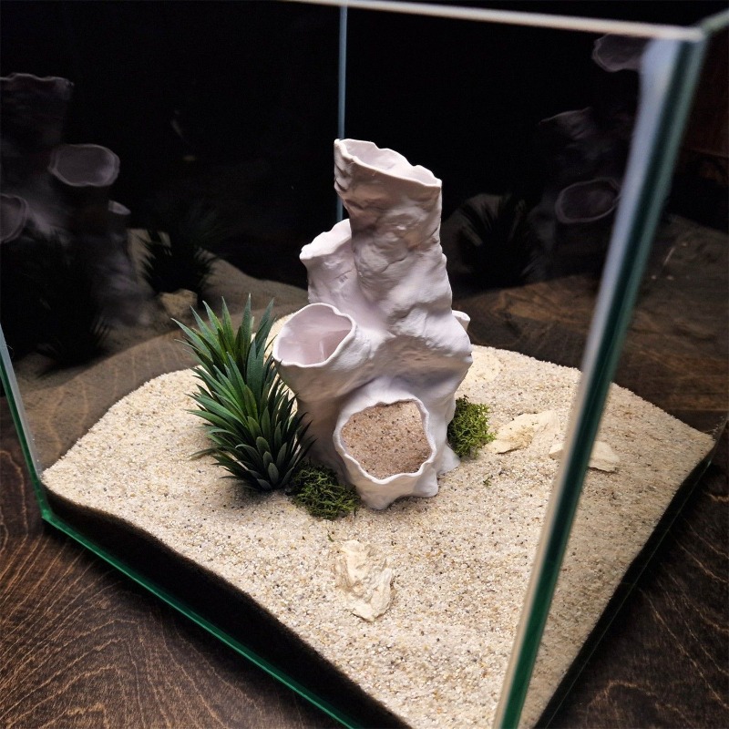 Promotion : Décoration 3D Impr - Aquarium Plants For Sale avis et prix
