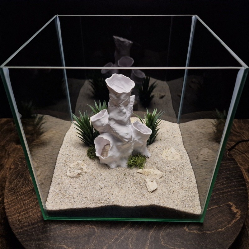 Promotion : Décoration 3D Impr - Aquarium Plants For Sale avis et prix