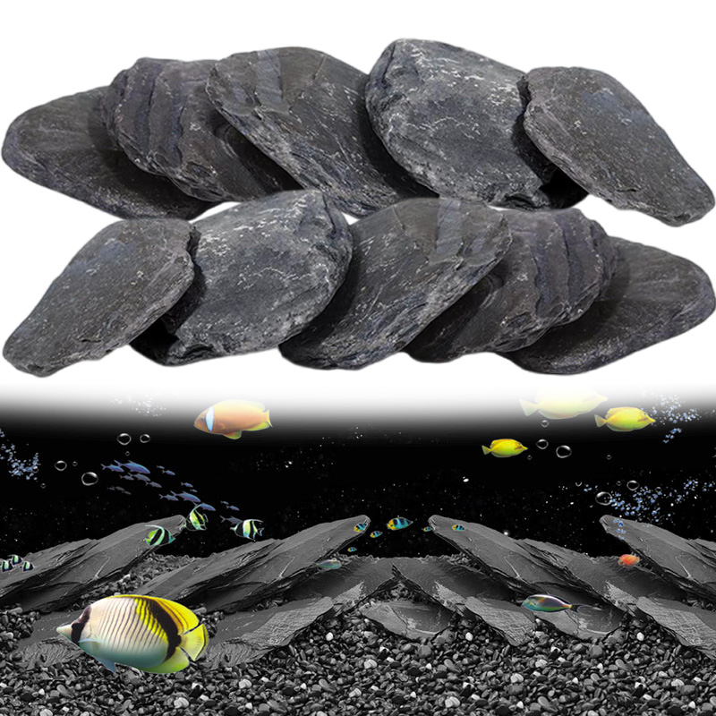 500g/1000g Copeaux d'ardoise p - Aquasoil Substrate avis et prix