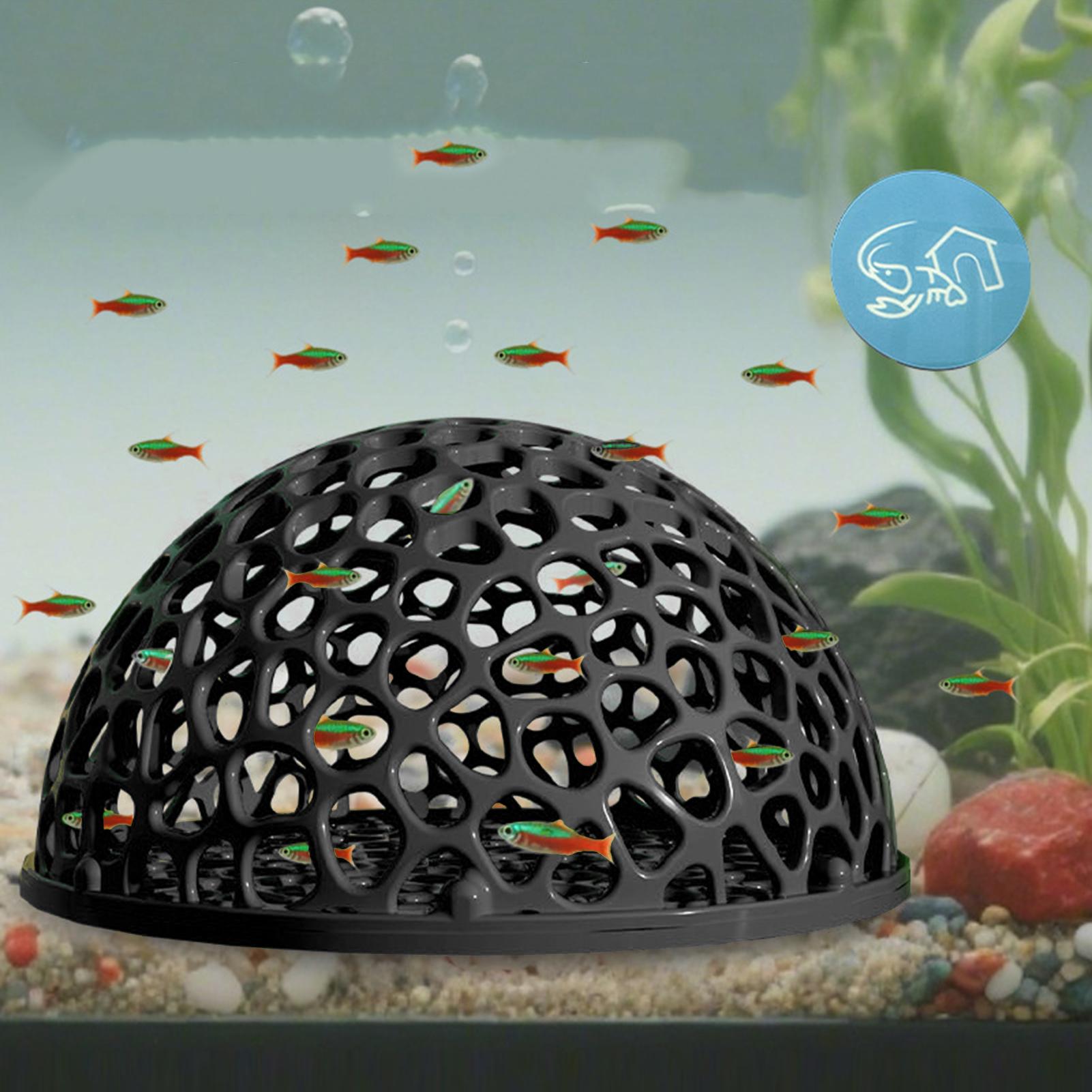 Abri de grotte pour Aquarium,  - Aquarium Planted Seeds avis et prix
