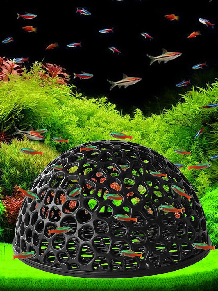 Abri de grotte pour Aquarium,  - Aquarium Planted Seeds avis et prix