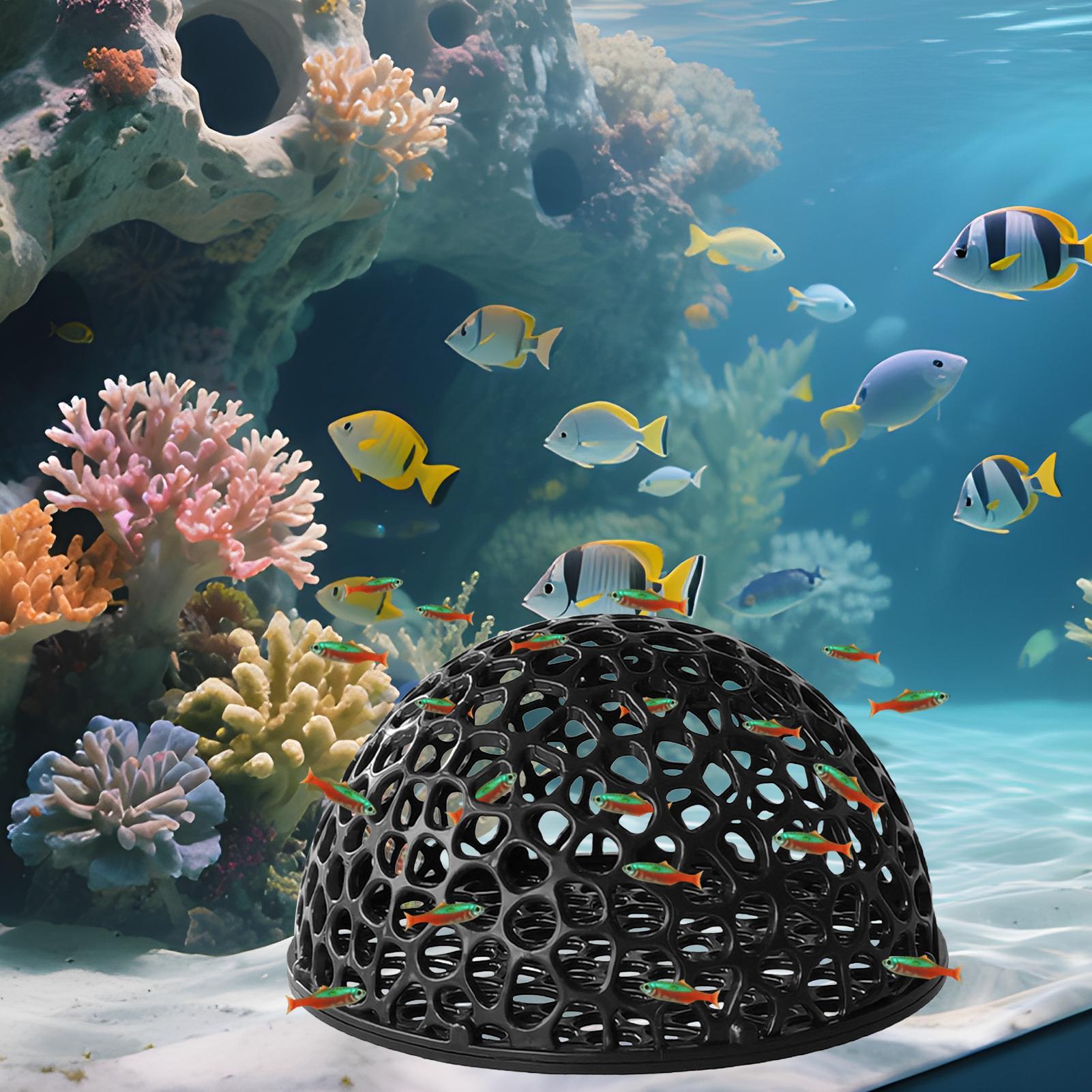 Abri de grotte pour Aquarium,  - Aquarium Planted Seeds avis et prix