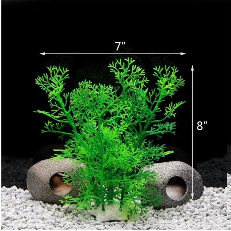 10 pièces - Nouveauté très dem - Aquarium Plants For Sale avis et prix