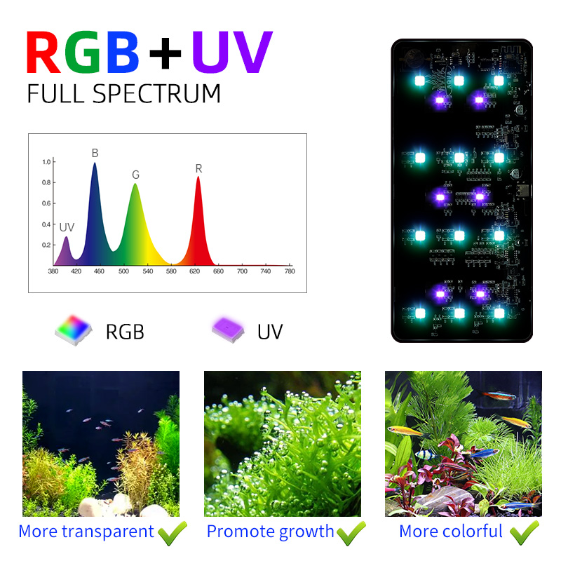 Vente flash Mini9pro Nano Terr - Aquarium Plants For Sale avis et prix