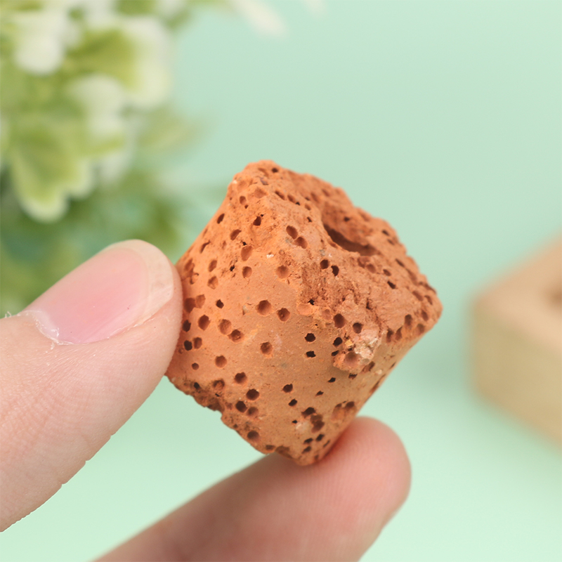 Anneaux de plantes pour aquari - Aquarium Planted Seeds avis et prix