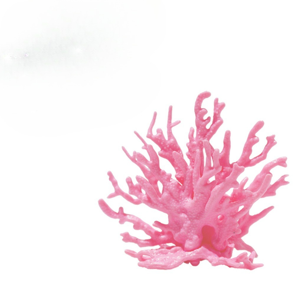 Simulation de paysage aquatiqu - Planted Aquarium Hard Water avis et prix