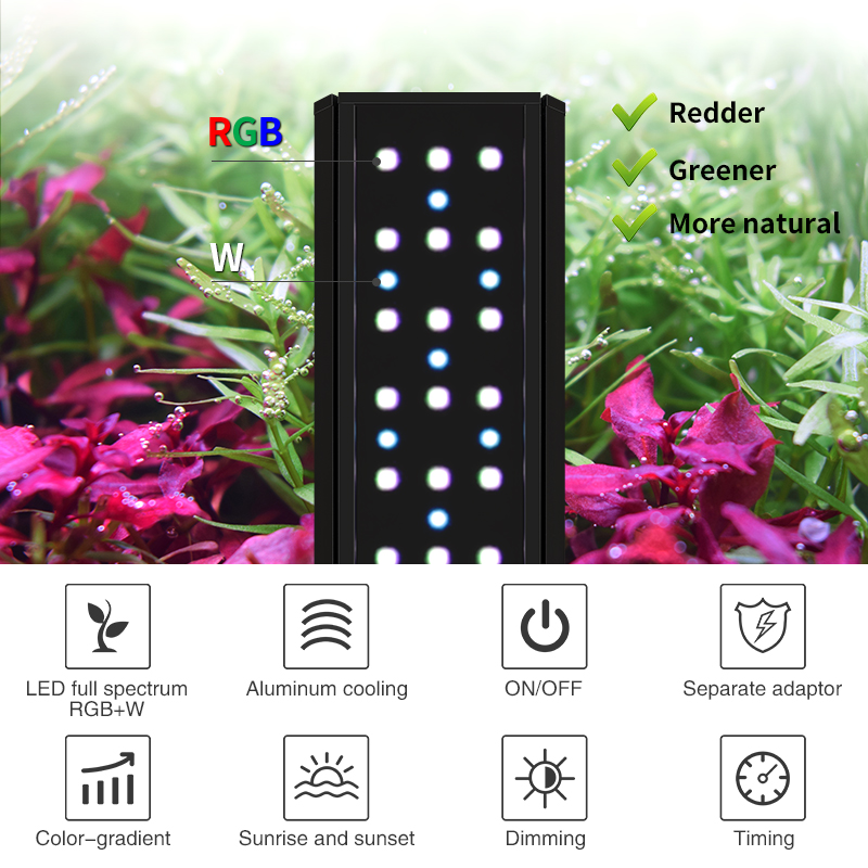 ZXY offre spéciale WEEKAQUA V4 - Aquarium Plants For Sale avis et prix