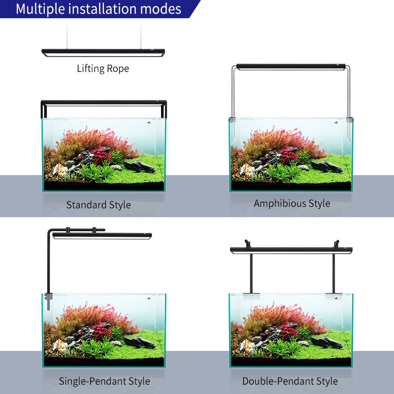 ZXY offre spéciale WEEKAQUA V4 - Aquarium Plants For Sale avis et prix
