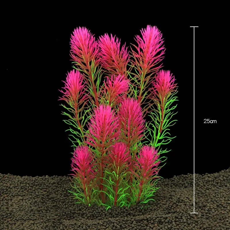 Décoration de plantes d'eau po - Aquarium Planted Seeds avis et prix