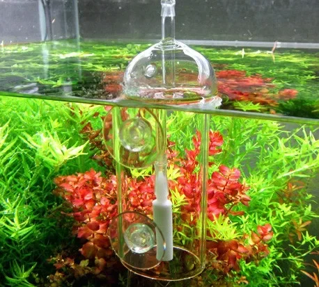 VIV DO DEVICE – cylindre d'aqu - Planted Aquarium Air Stone avis et prix