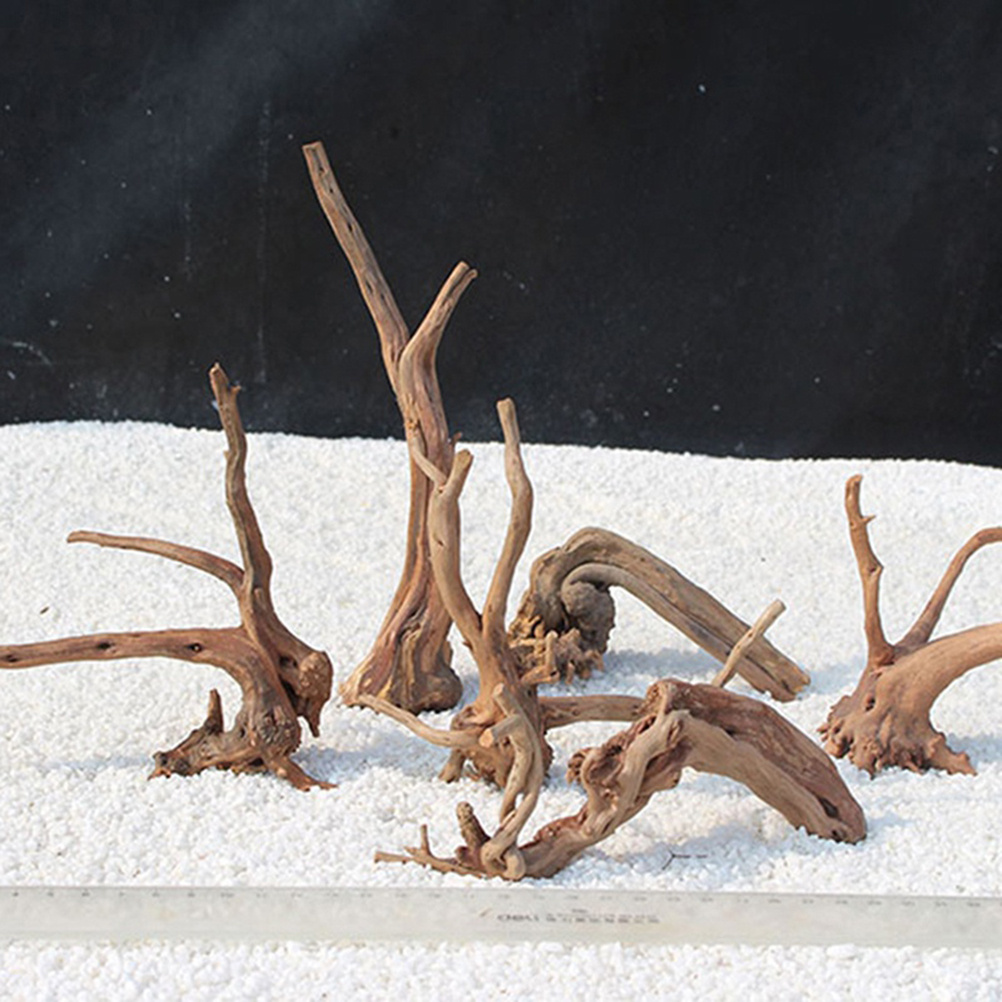 Décorations d'aquarium en bois - Aquarium Plants For Sale avis et prix