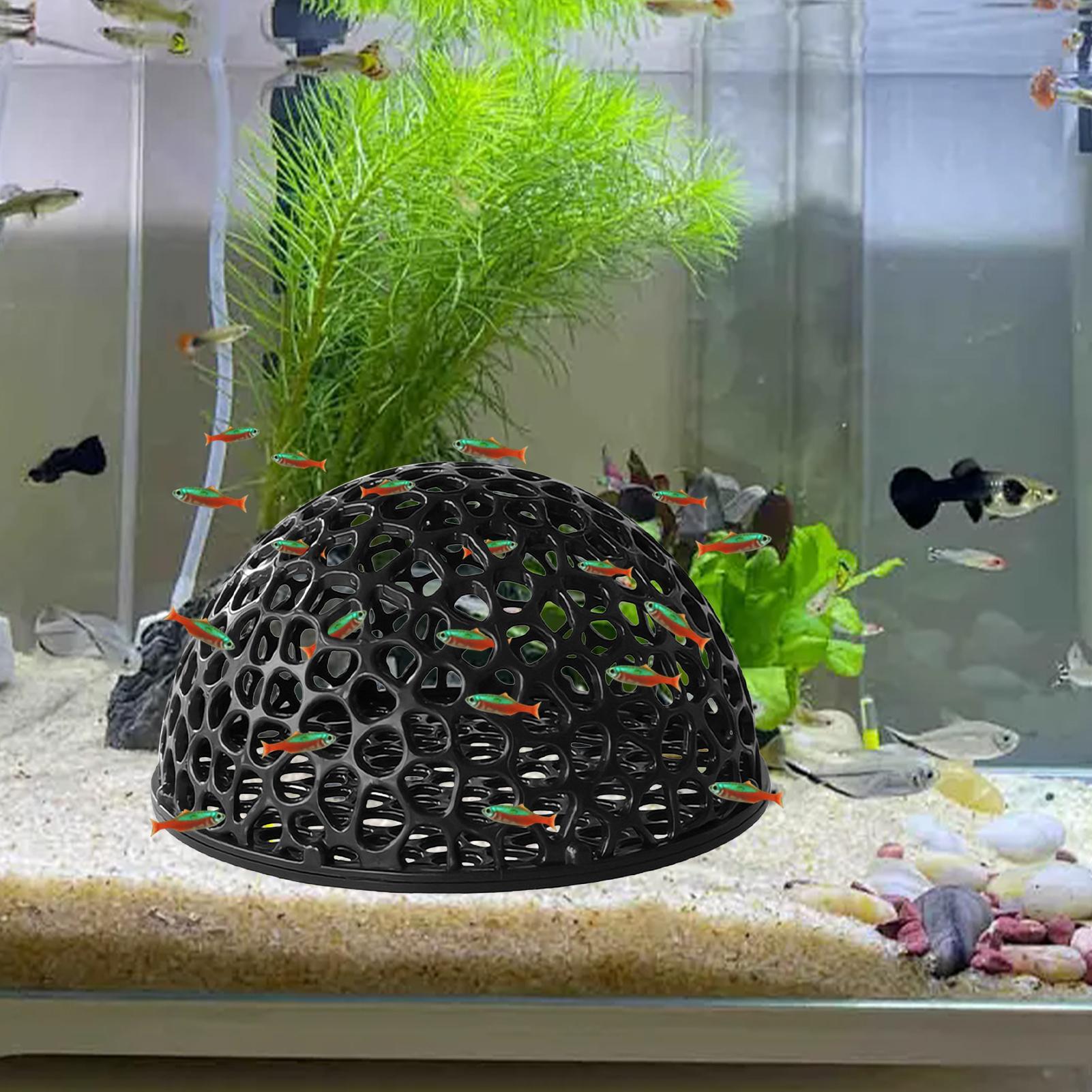Aquarium crevettes cacher déco - Aquarium Planted Seeds avis et prix