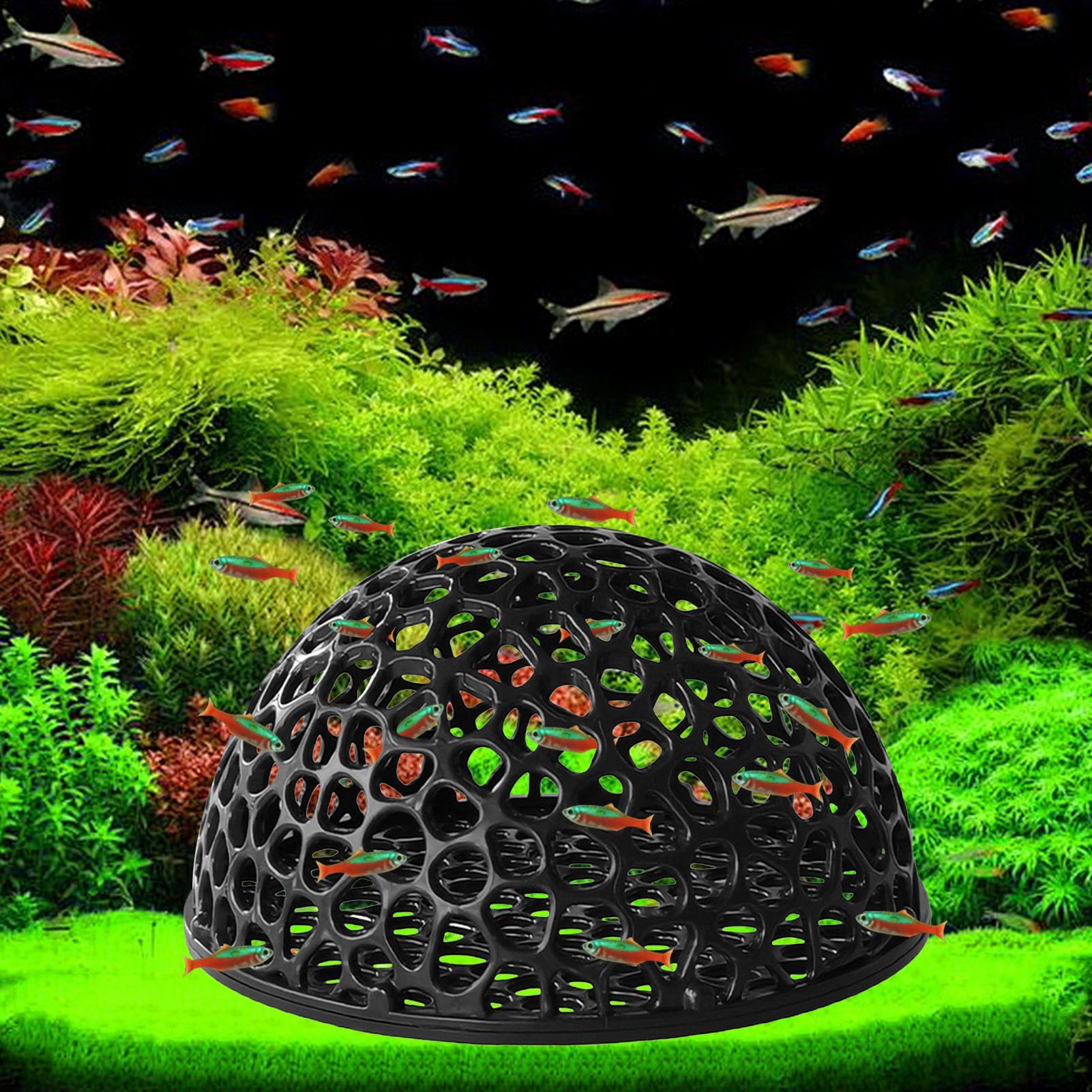 Aquarium crevettes cacher déco - Aquarium Planted Seeds avis et prix