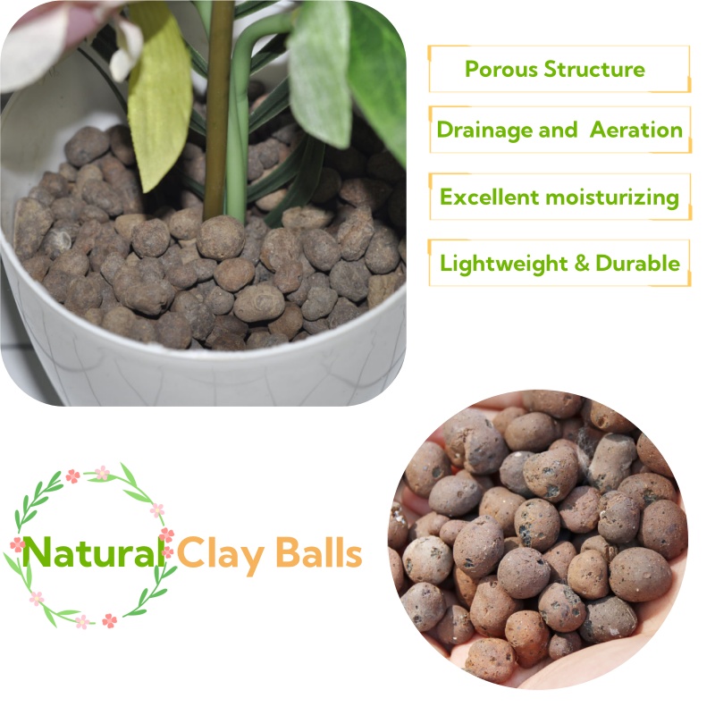 Boules d'argile organique 2L/1 - Aquasoil Substrate avis et prix