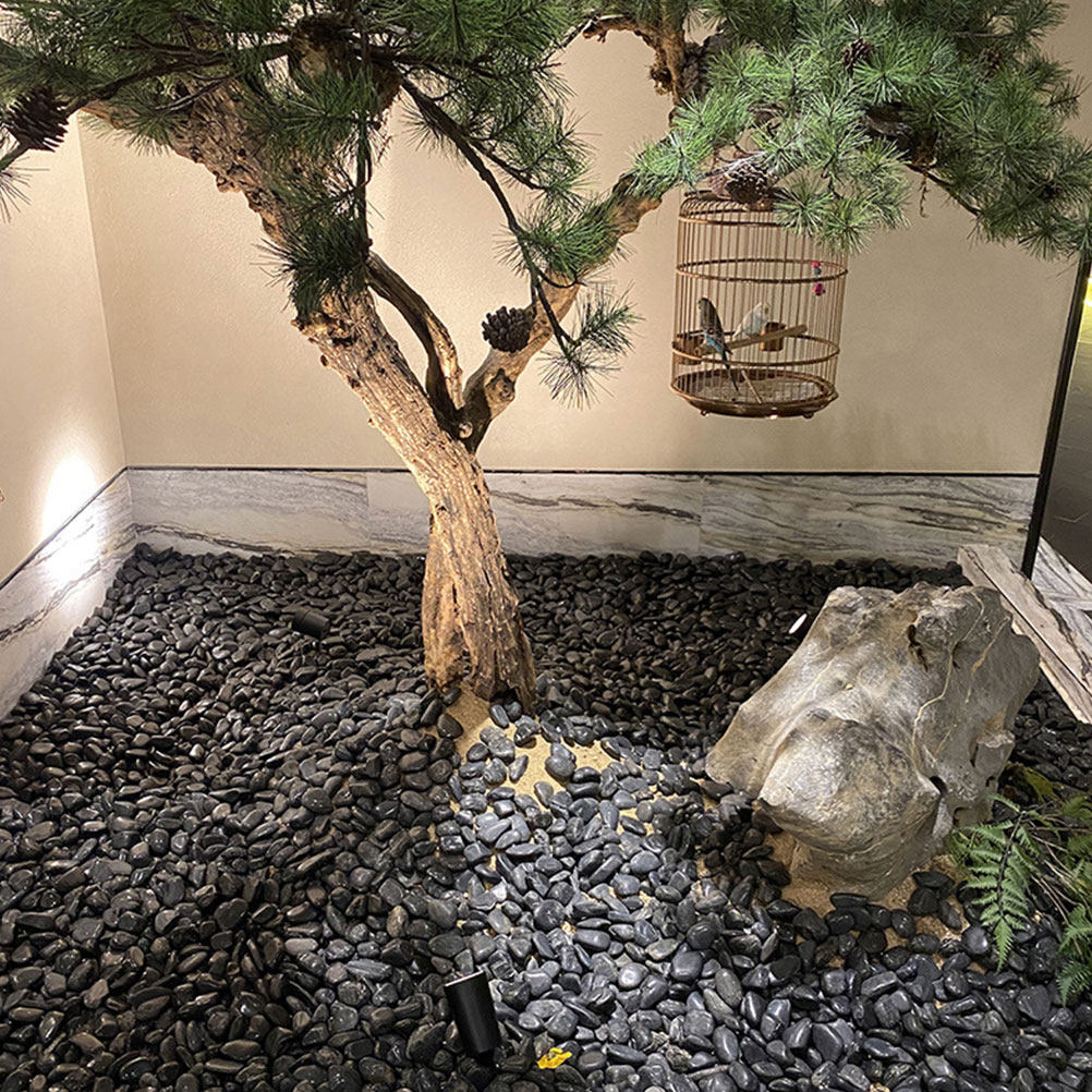 1 ensemble de galets d'aquariu - Aquarium Planted Aquarium avis et prix
