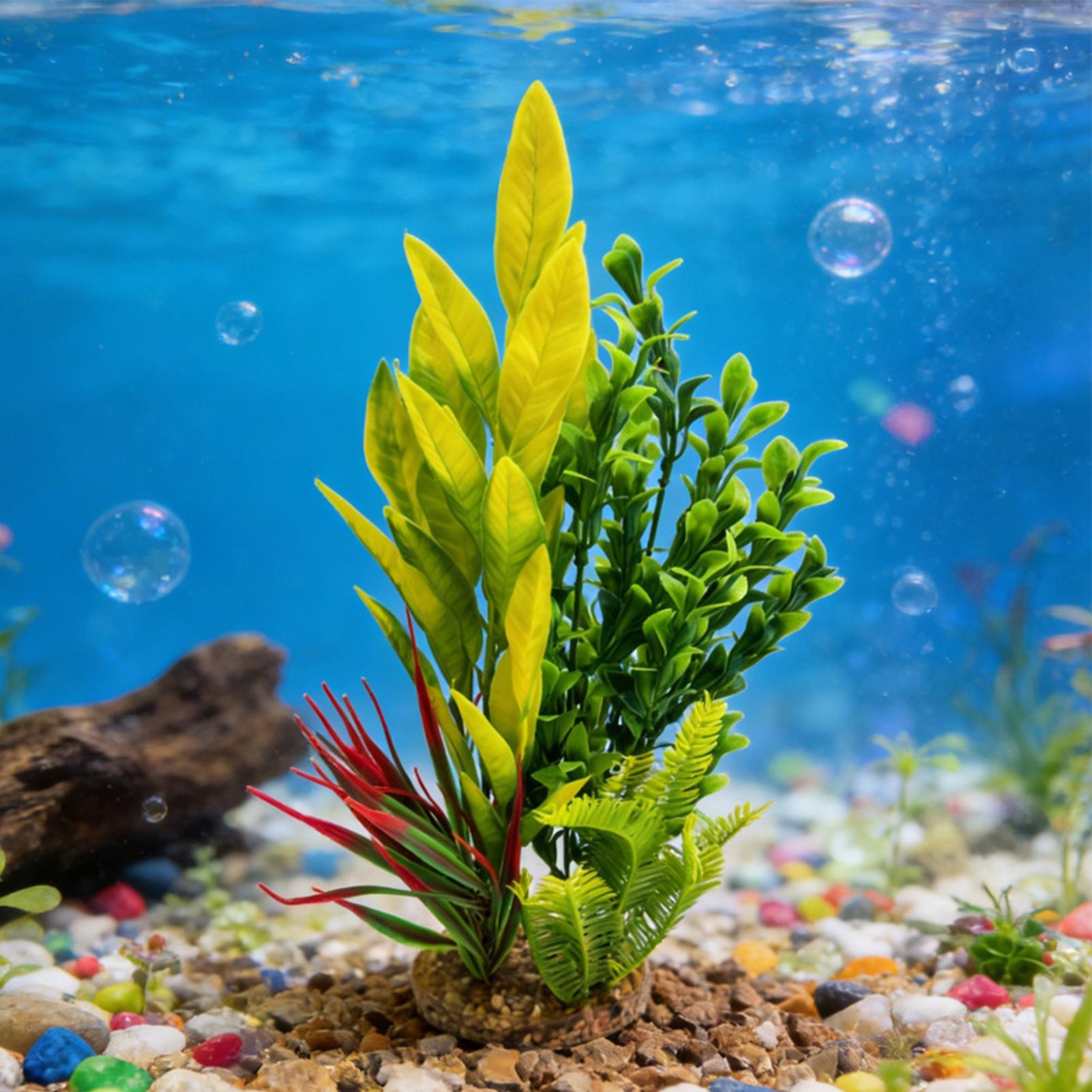Plantes artificielles pour aqu - Planted Aquarium For Beginners avis et prix
