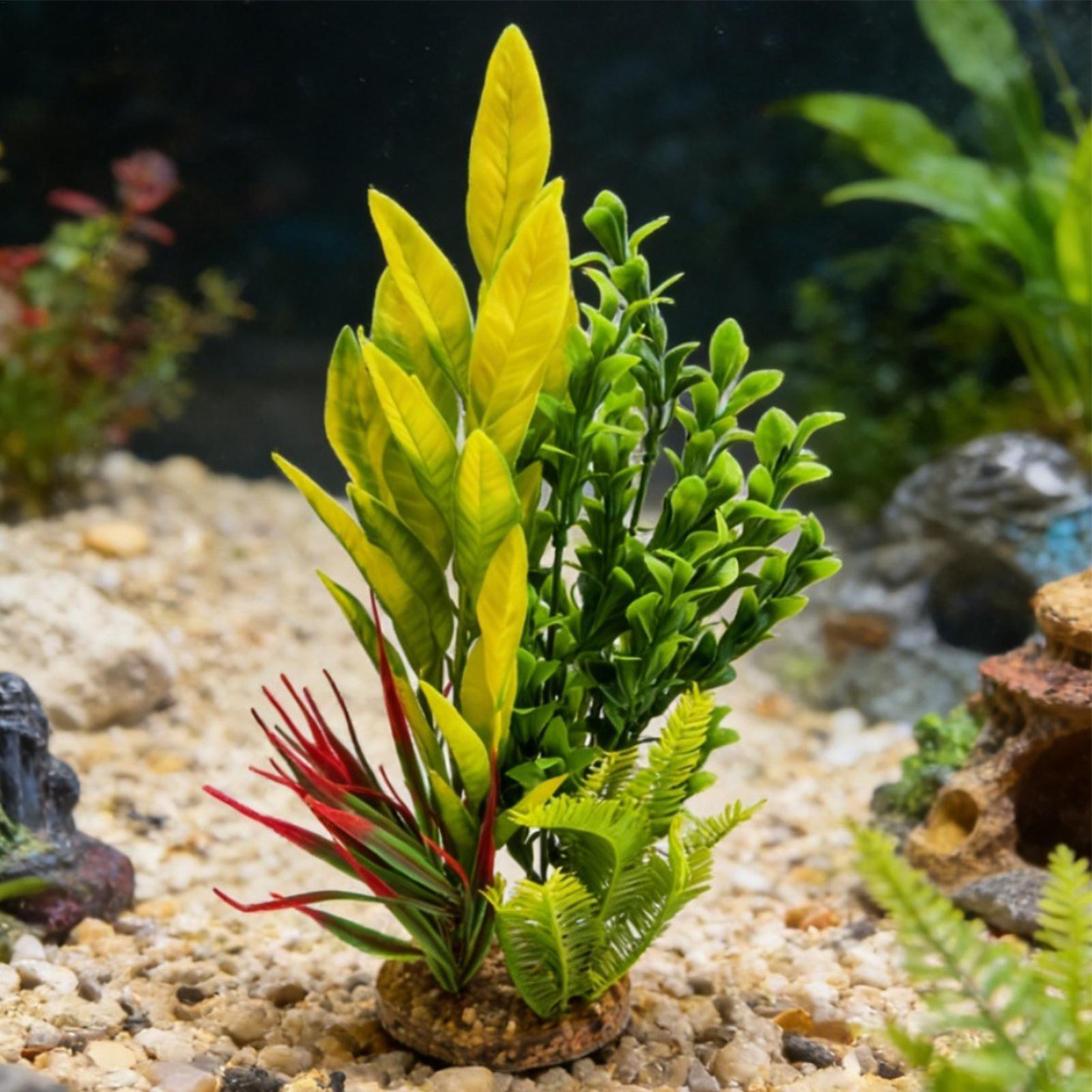 Plantes artificielles pour aqu - Planted Aquarium For Beginners avis et prix