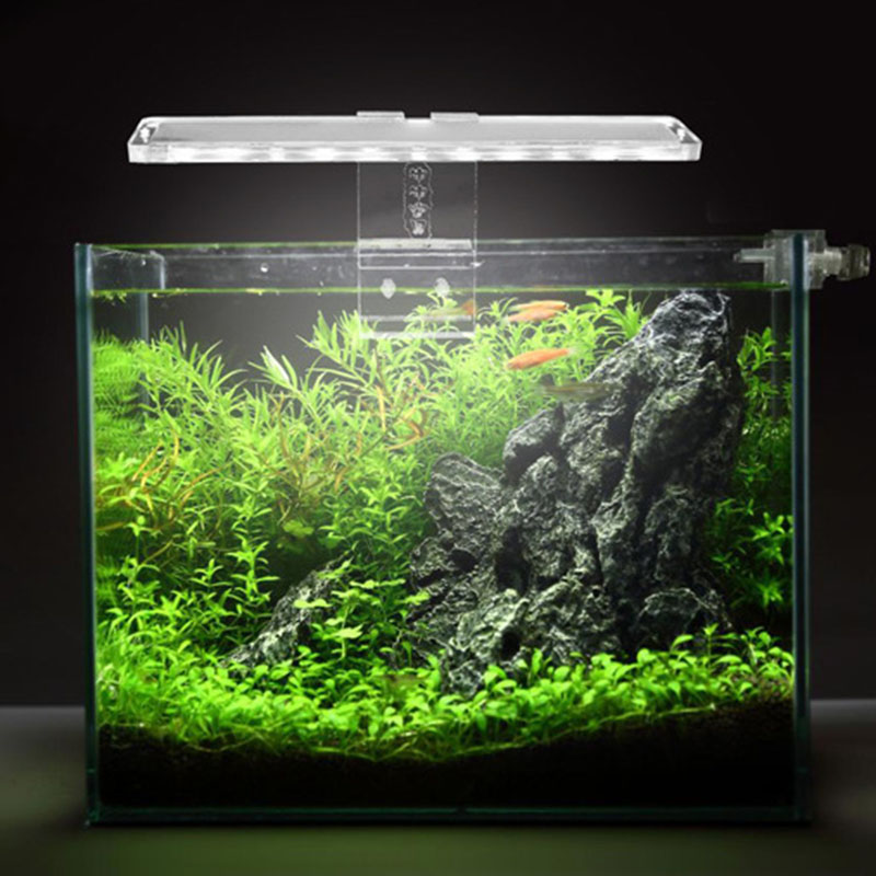 Lampe LED pour Aquarium 3-8MM  - Planted Aquarium Price avis et prix