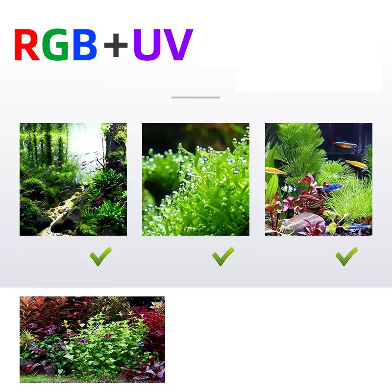 Éclairage Led 60cm 80cm 90cm R - Aquarium Plants For Sale avis et prix
