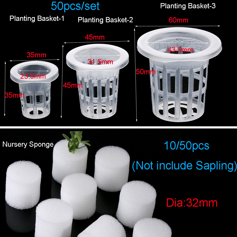 10/50pcs fournitures de jardin - Aquarium Planted Seeds avis et prix