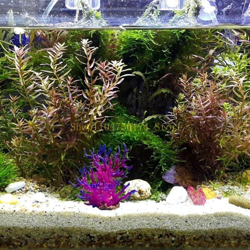 Arbre artificiel décoratif, pl - Aquarium Plants For Sale avis et prix
