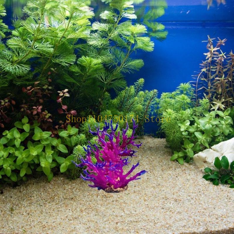 Arbre artificiel décoratif, pl - Aquarium Plants For Sale avis et prix